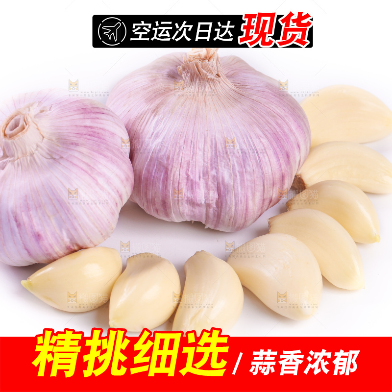 白底上的大蒜头和蒜瓣