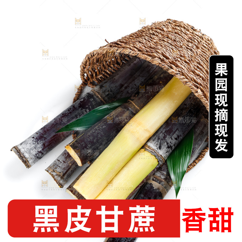 白底上篮子里的甘蔗