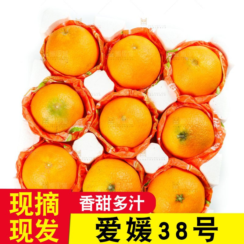 白底上放着一箱爱媛桔橙