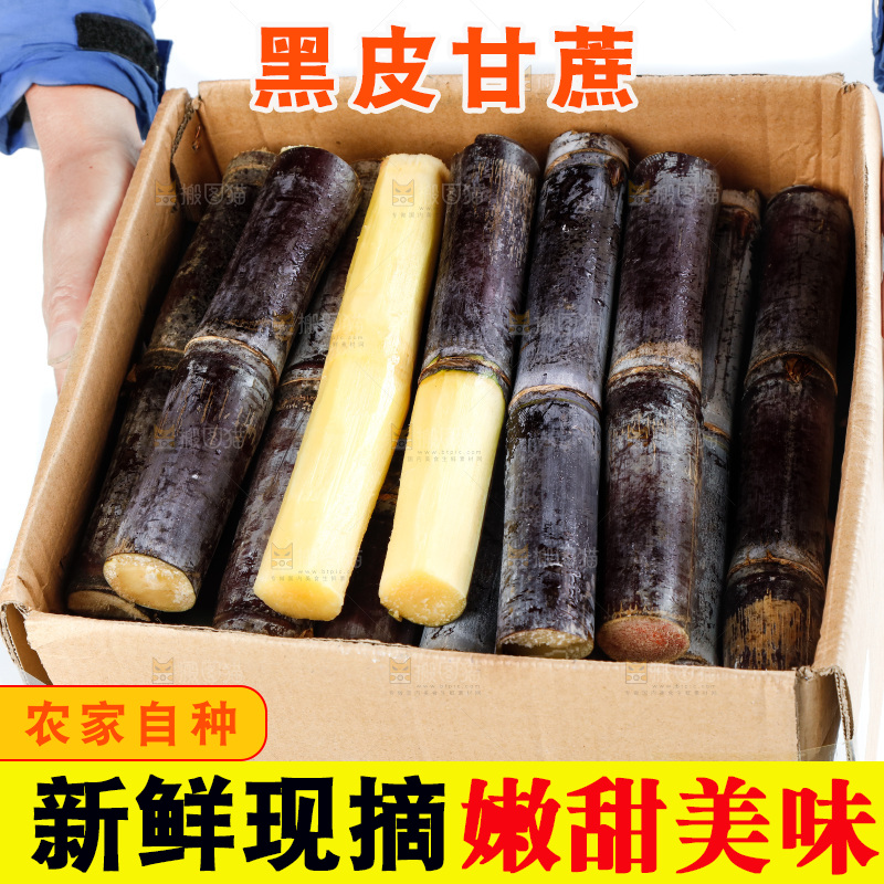 手上端着一箱广西黑皮甘蔗