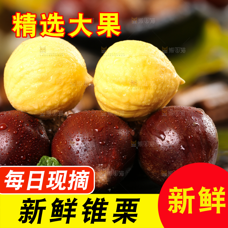 黑底上的栗子和锥栗仁