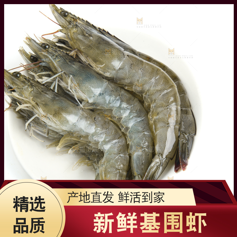 白底上一盘青岛大虾