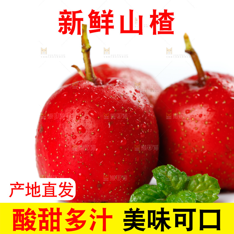 白底上的山楂果