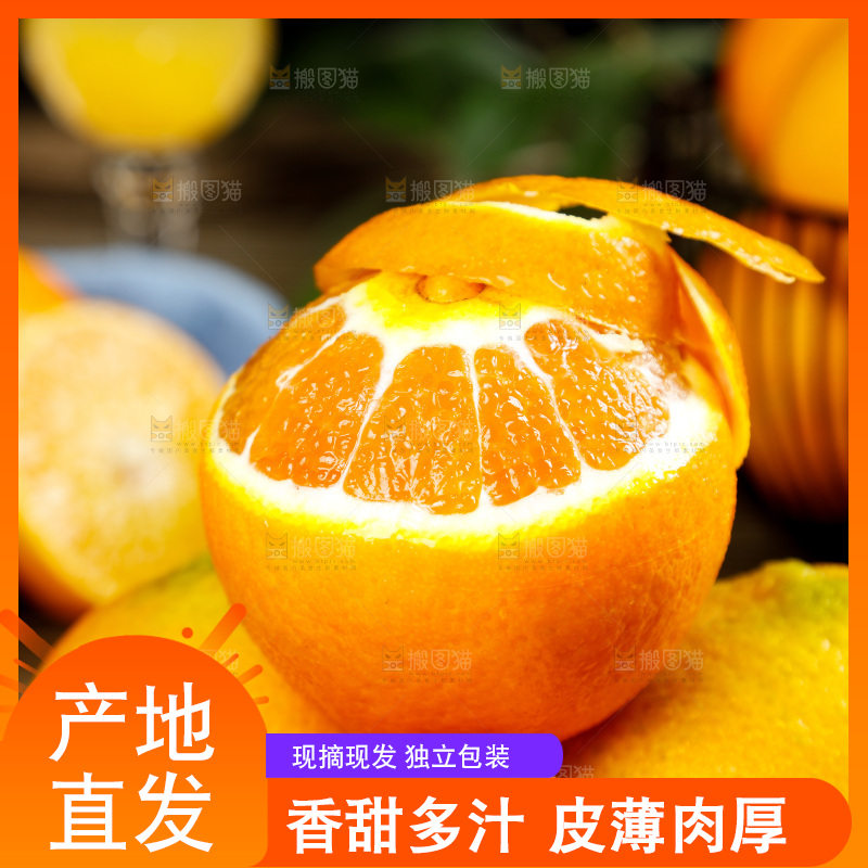 深底上一堆爱媛桔橙