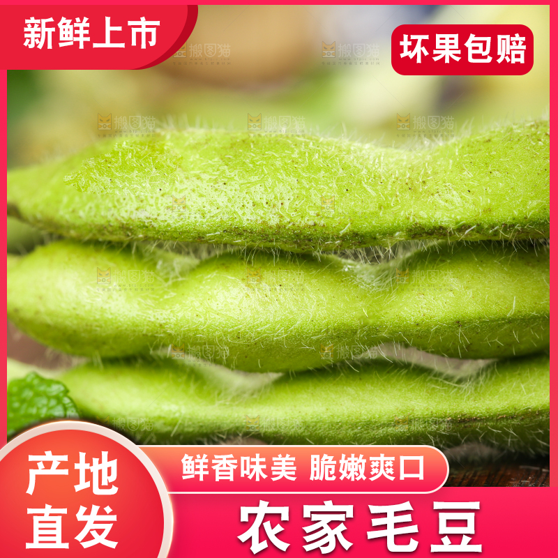 木底上放着毛豆