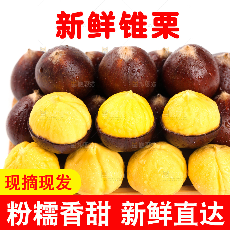 白底上一盘建瓯圆锥栗