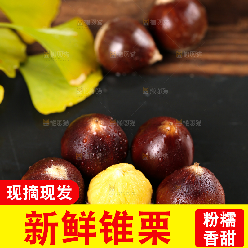 黑底上一堆新鲜锥栗