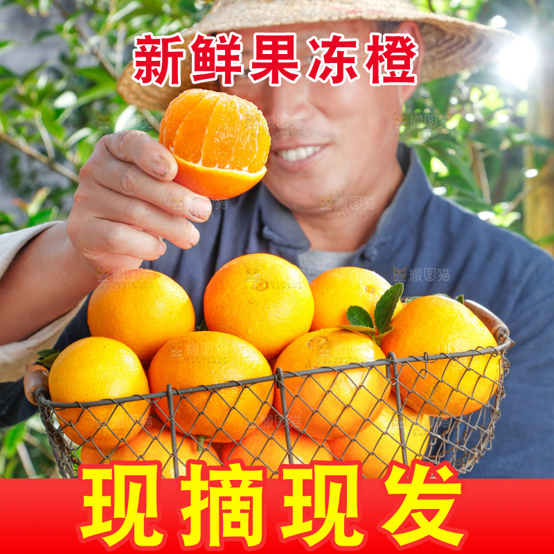 农民手上端着一篮果冻橙