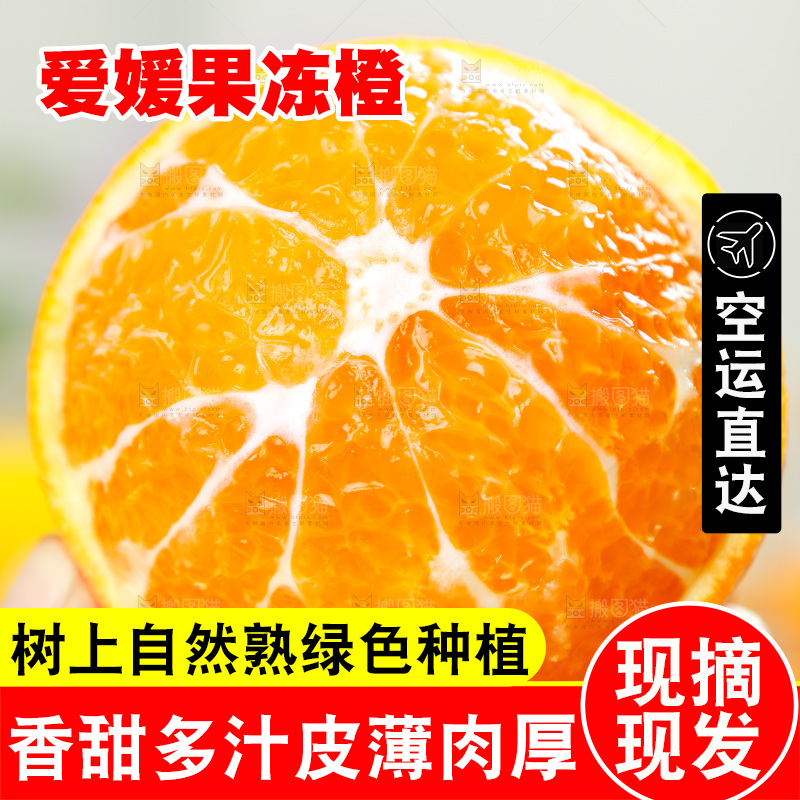 手上拿着爱媛果冻橙
