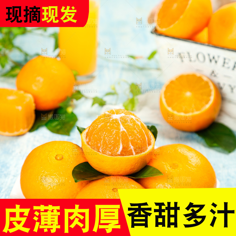 浅蓝底上一盘爱媛38号