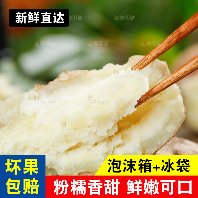 筷子上夹着白心板栗薯