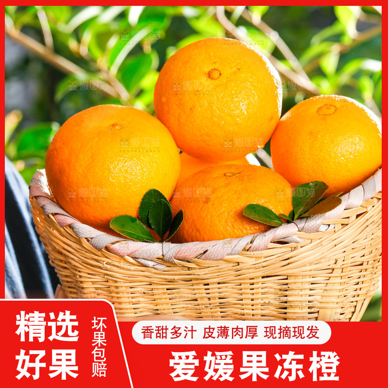 手上端着一篓新鲜采摘的果冻橙