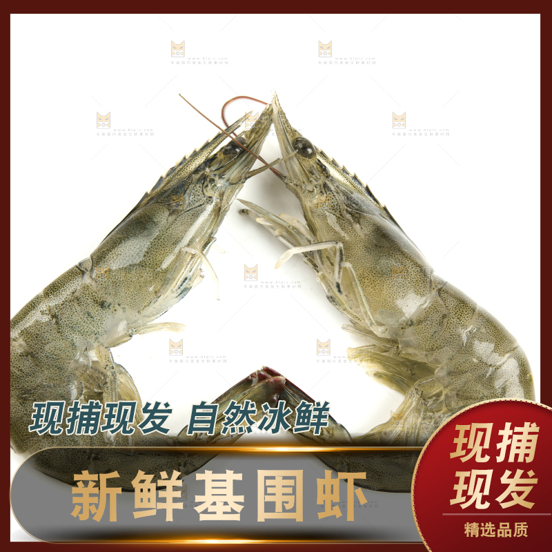 白底上放着对虾