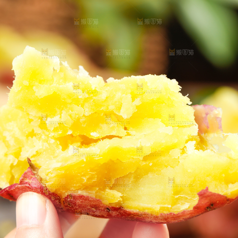 手上拿着黄心蜜薯