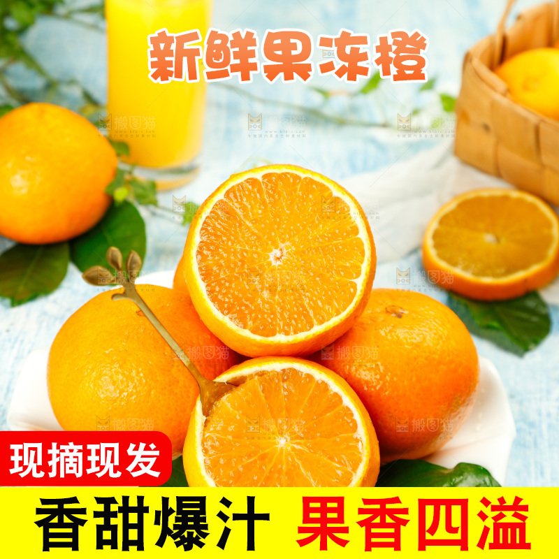 浅蓝底上一盘爱媛38号