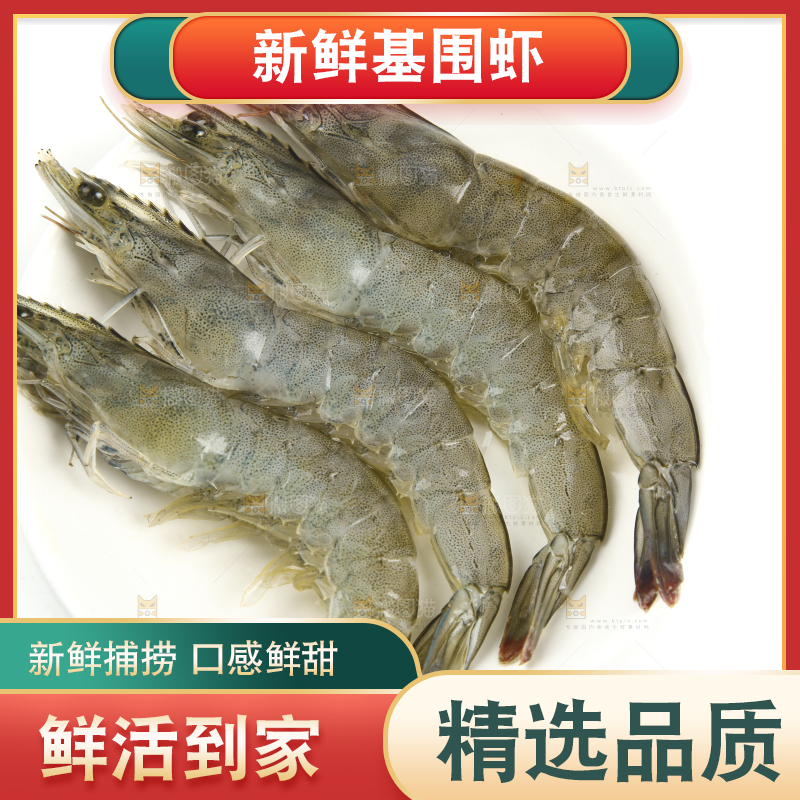 白底上一盘青岛大虾