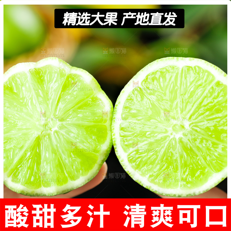 手上拿着无籽青柠檬