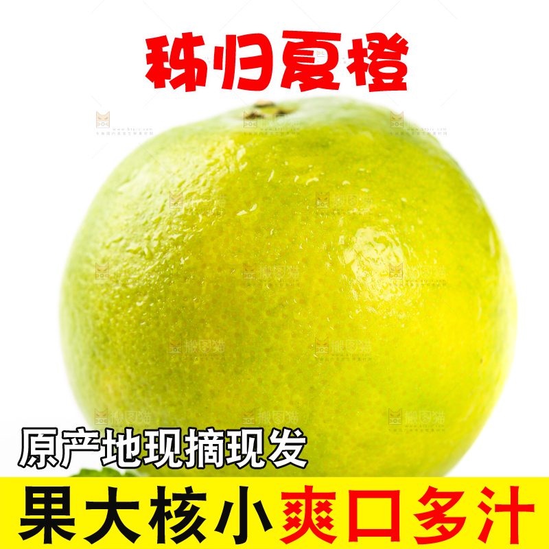 白底上放着夏橙