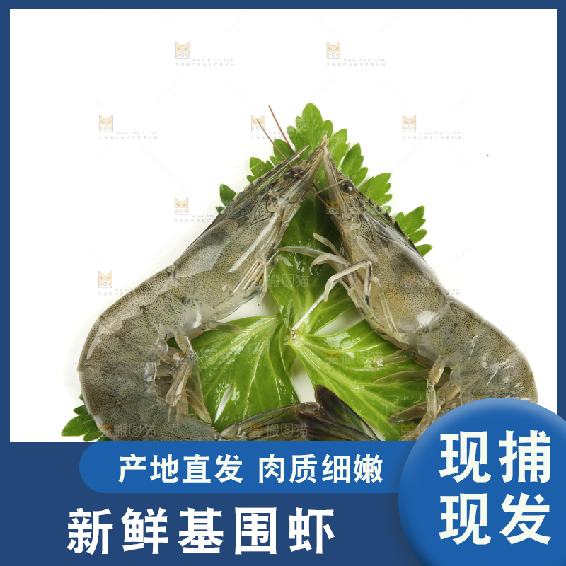白底上放着对虾