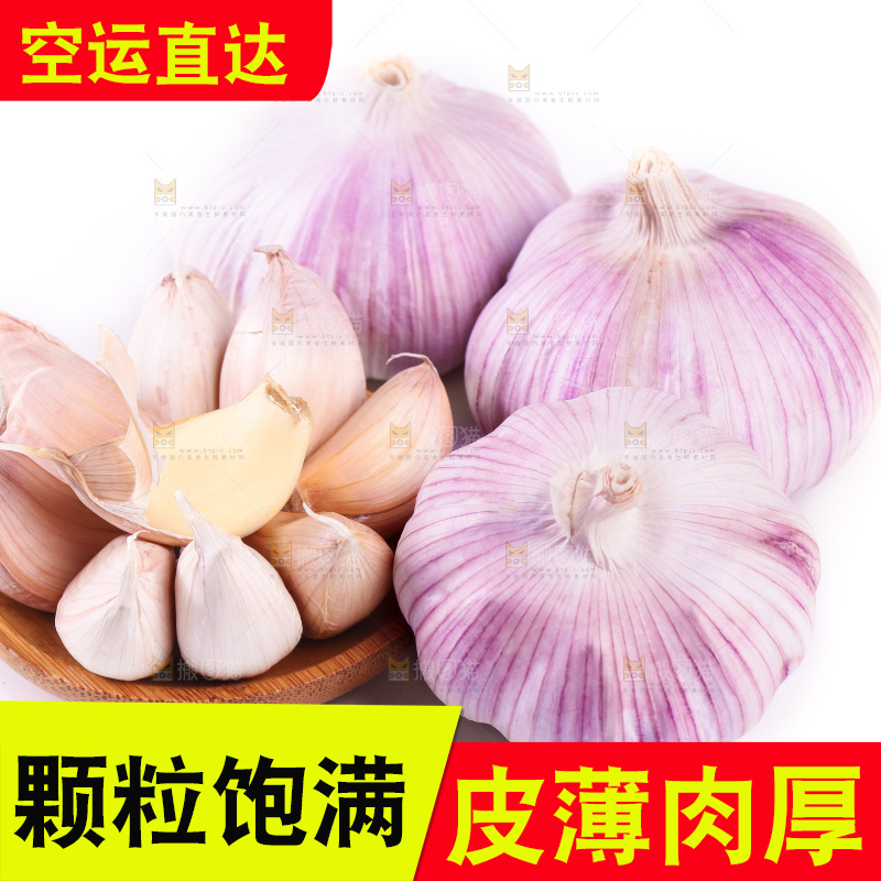 白底上的大蒜