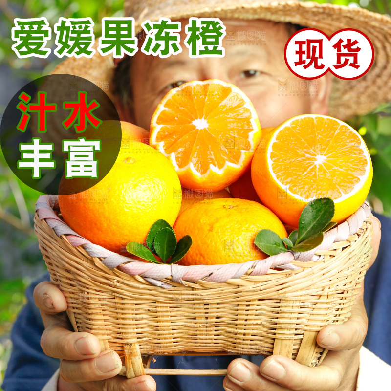 农民手上端着一篓四川爱媛果冻橙