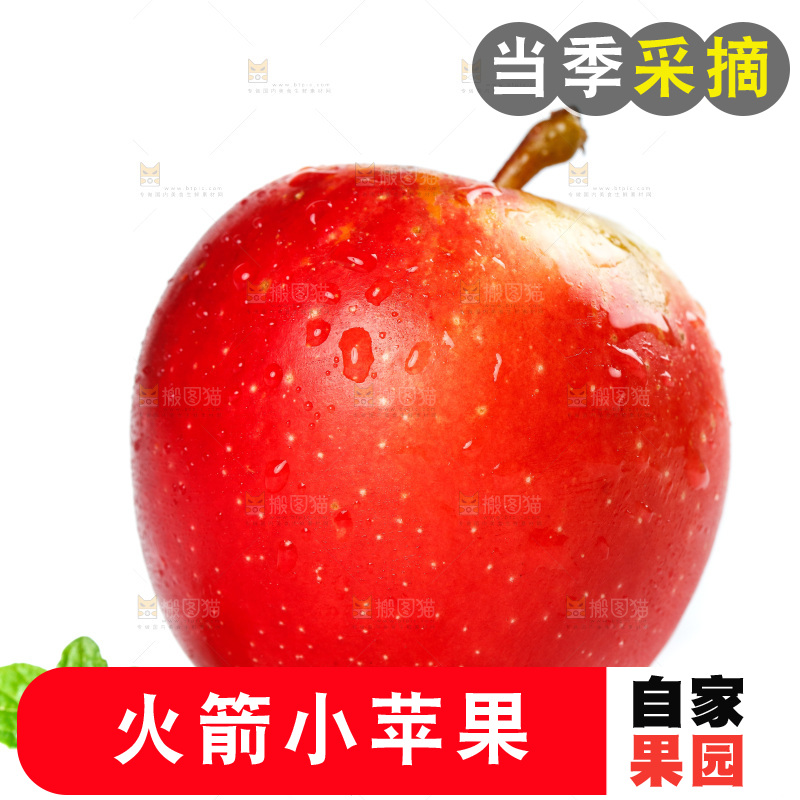 白底上放着火箭苹果