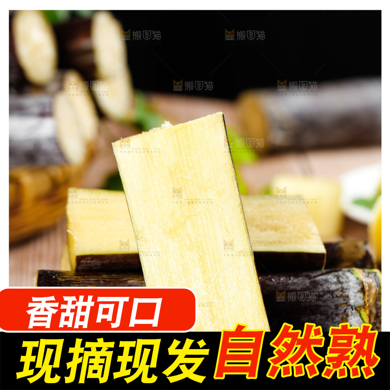 深木底上的广西甘蔗