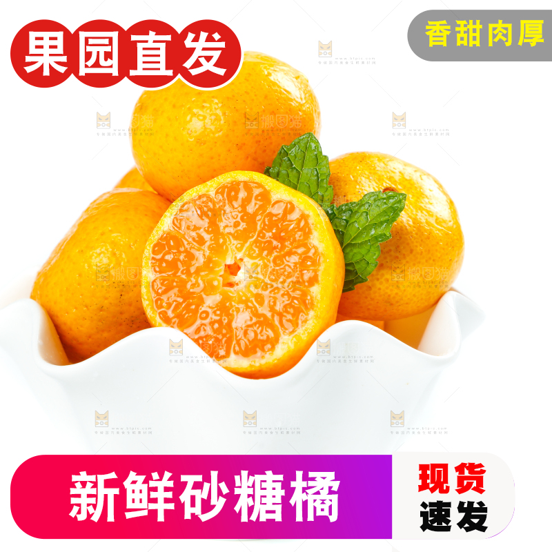 白底上放着一碗小橘子