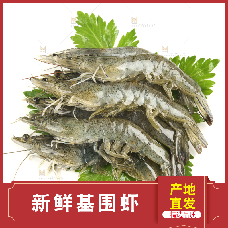 白底上放着对虾