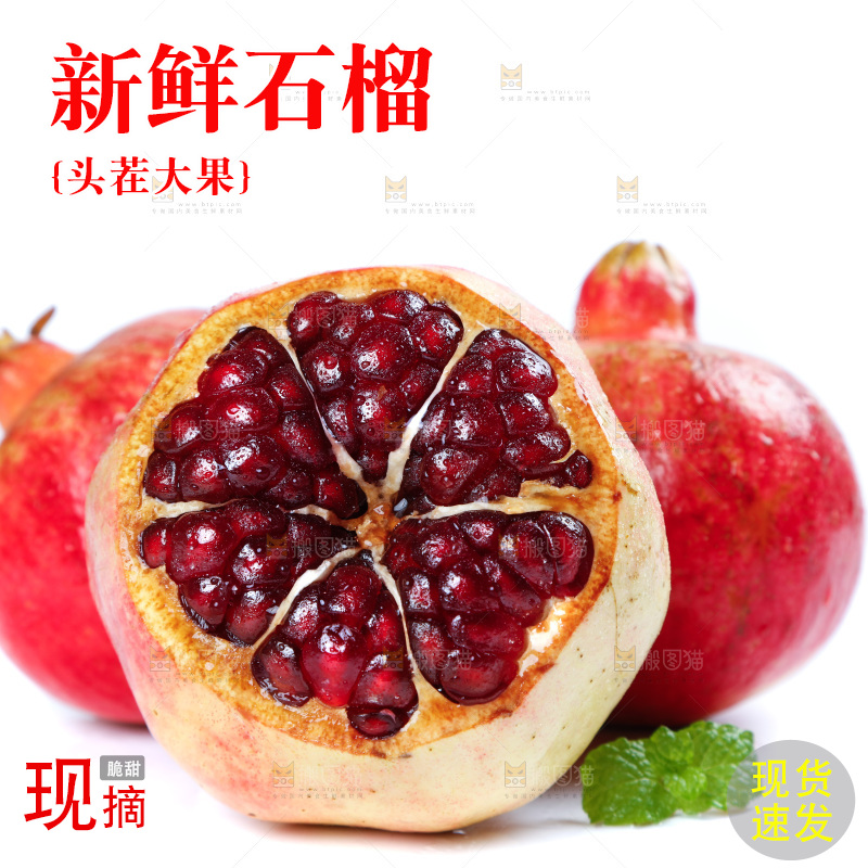 白底上的石榴