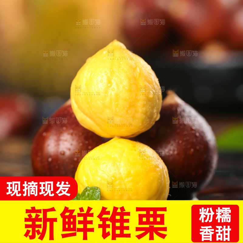 黑底上放着建瓯圆锥栗