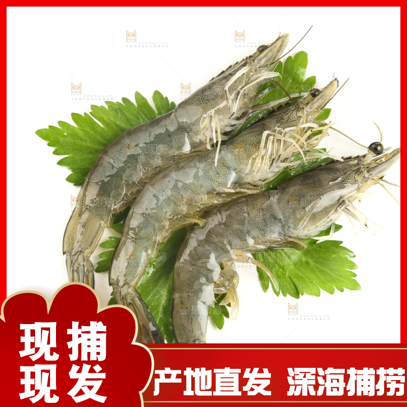 白底上的基围虾