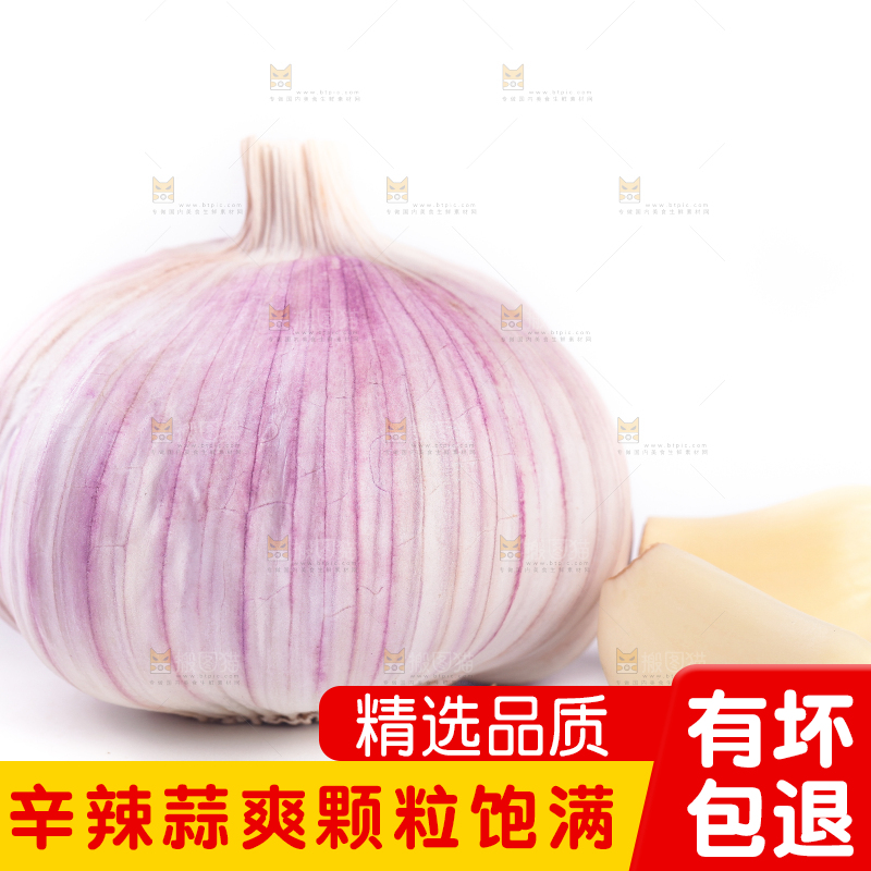 白底上的大蒜头