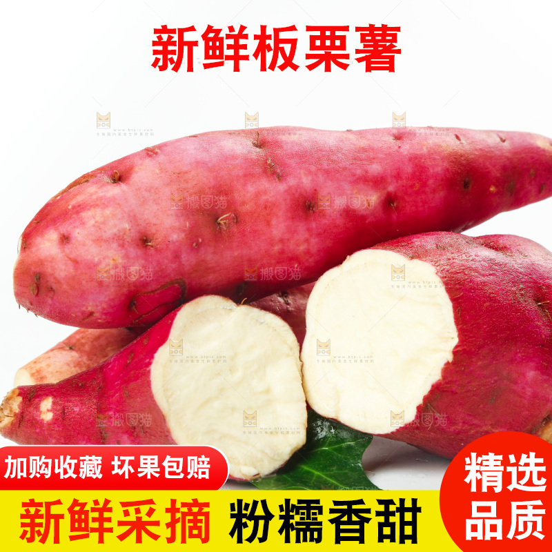 白底上的白心板栗薯
