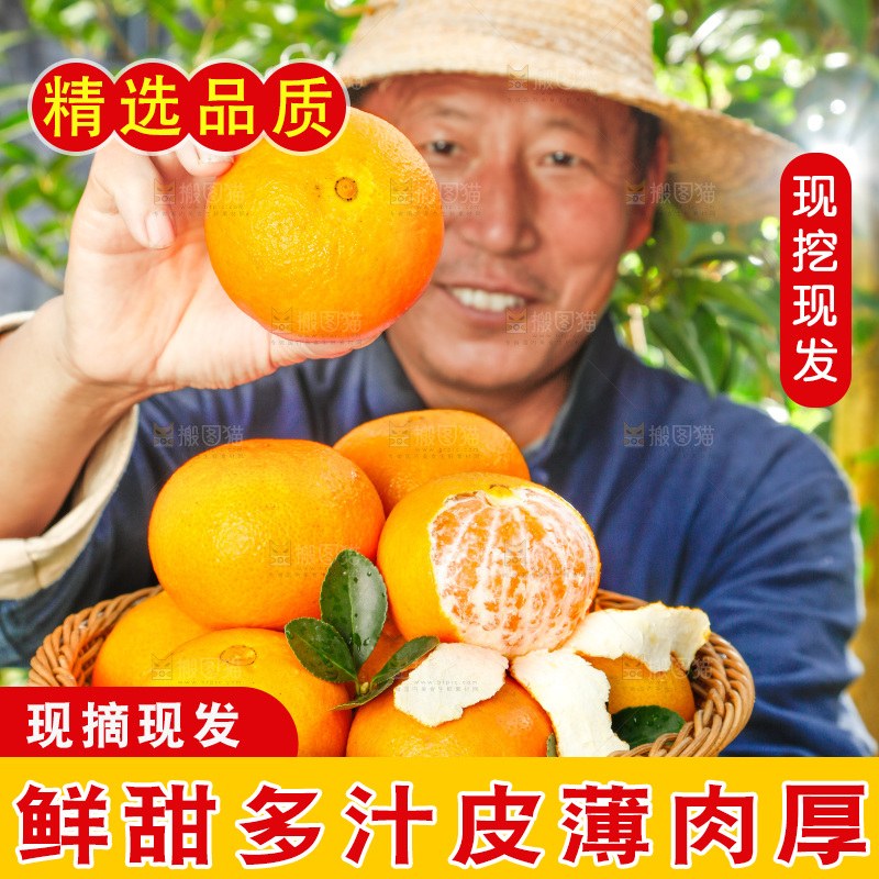 农民手上端着一篮果冻橙