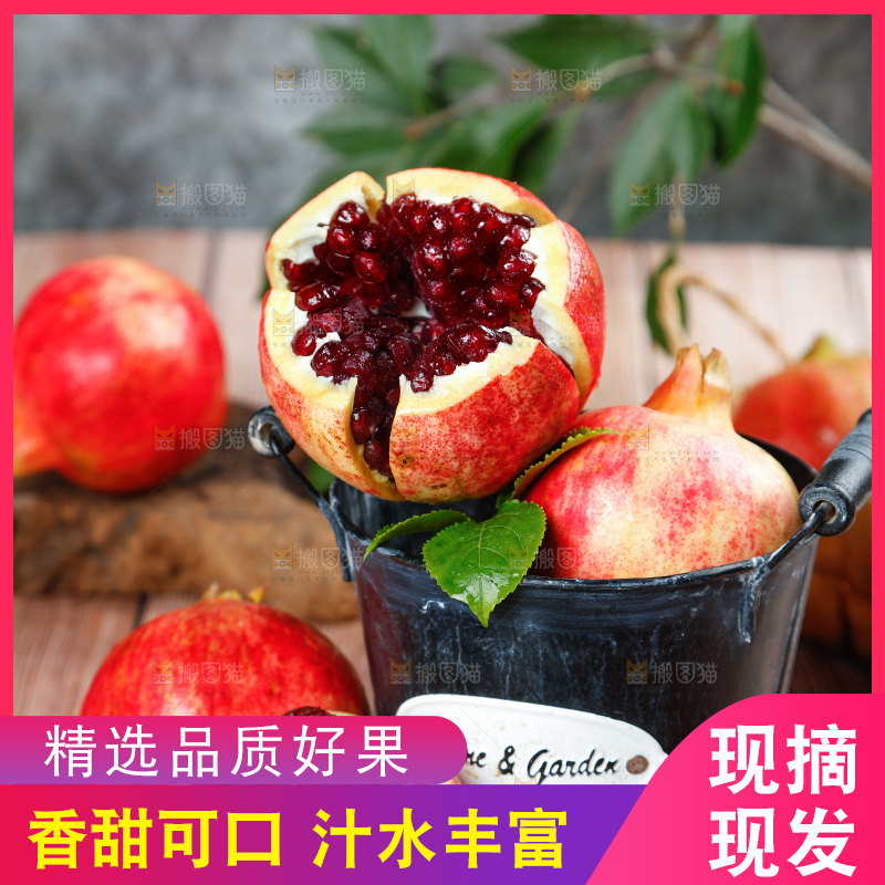 黑底上桶里的黑珍珠石榴
