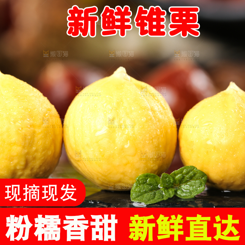 黑底上放着锥栗仁