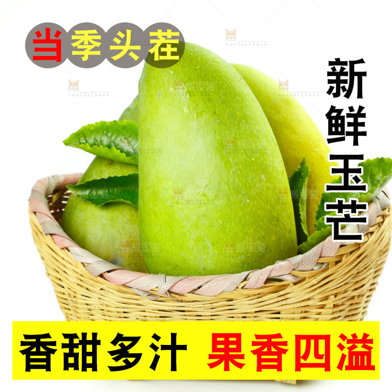 白底上一篓玉芒