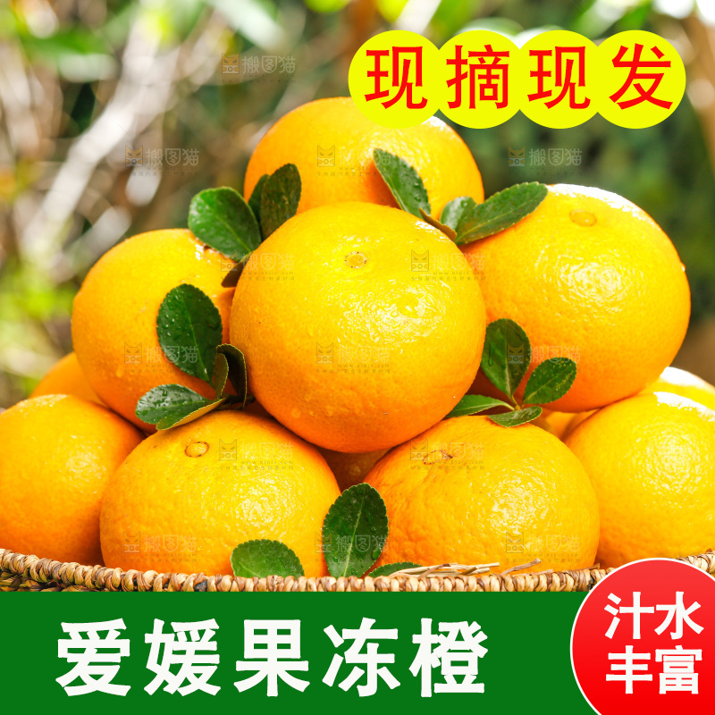 绿色草坪上一篮爱媛38号果冻橙
