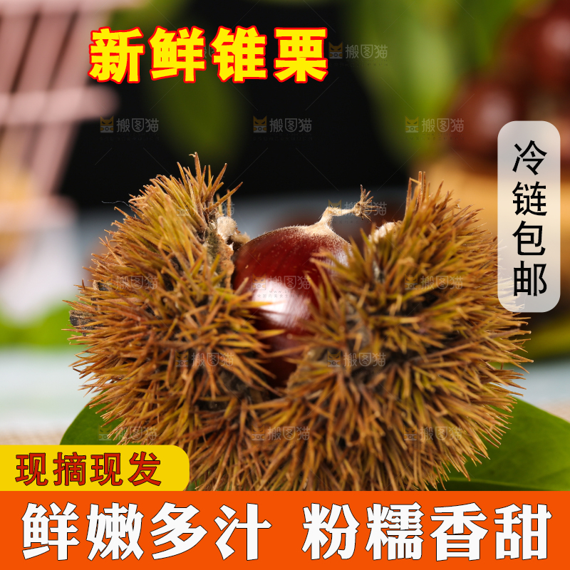 格子底上放着板栗