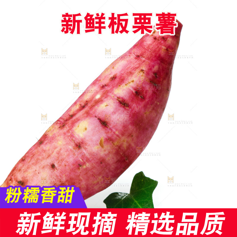 白底上的白心板栗薯