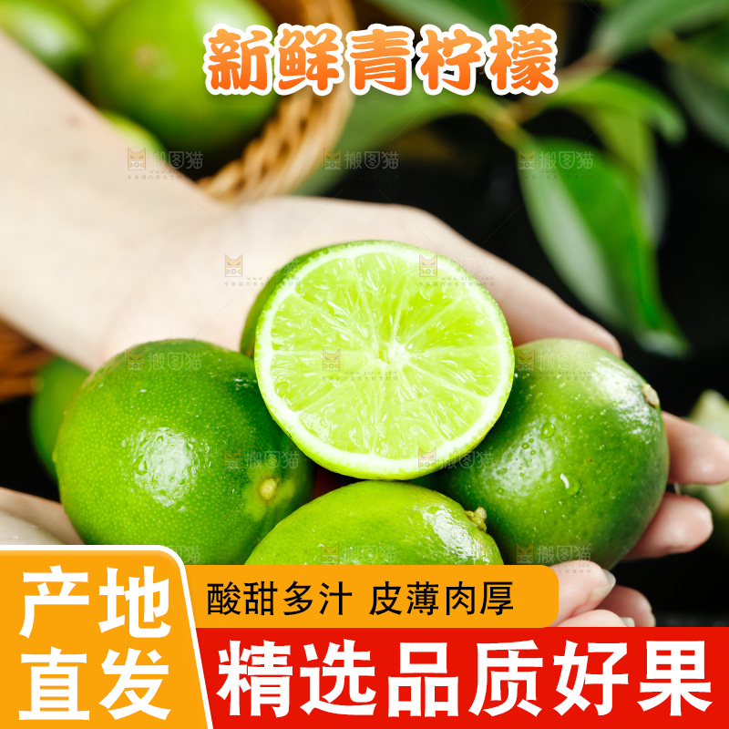 手上捧着海南青柠檬
