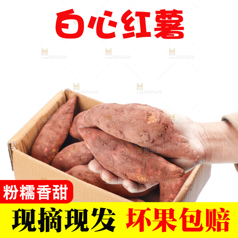 手上拿着板栗薯