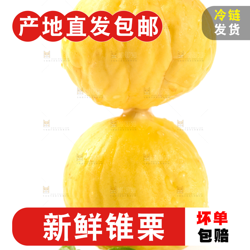 白底上放着锥栗仁