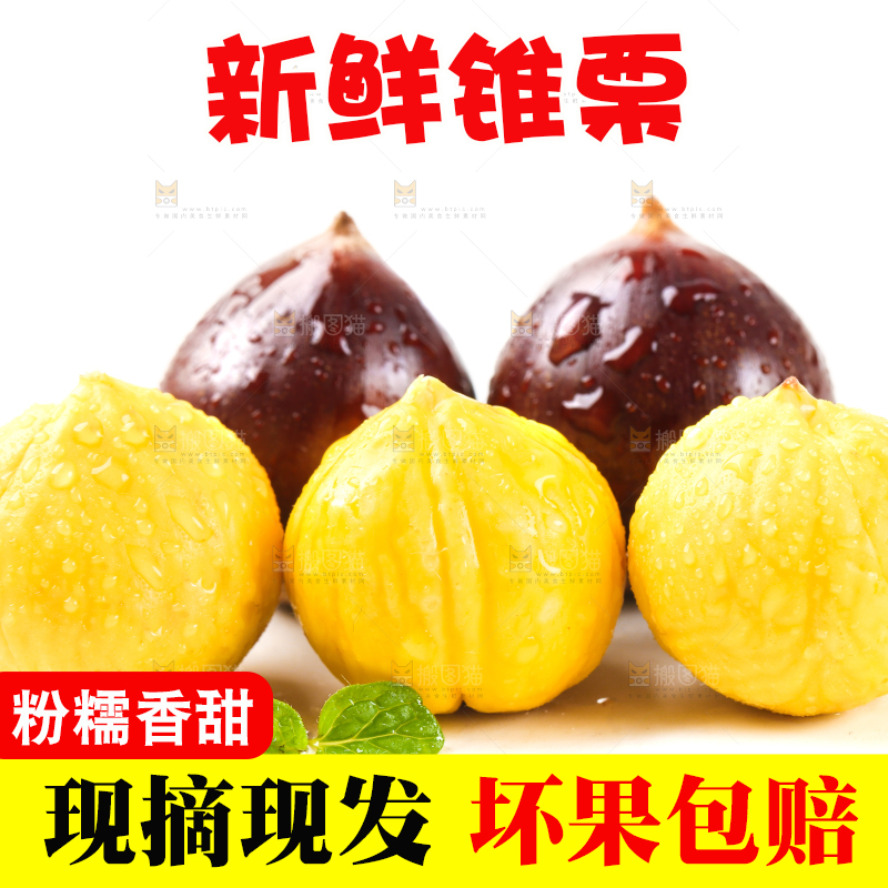 白底上放着锥栗仁和锥栗