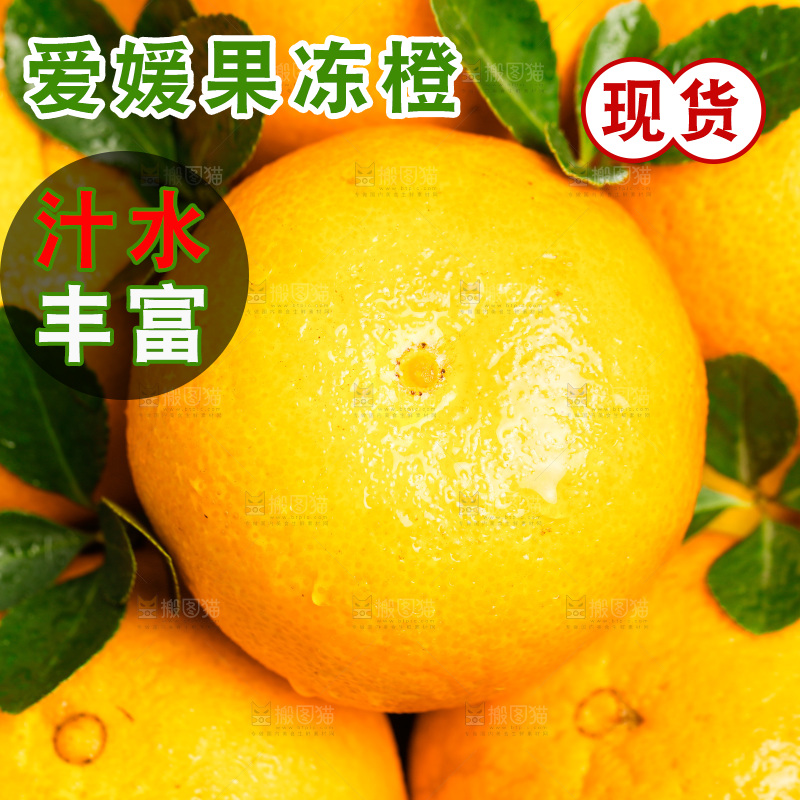 绿色草坪上一篮爱媛38号果冻橙