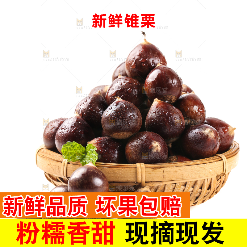 白底上篮子里的