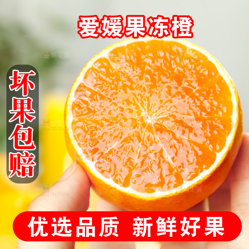 手上拿着爱媛38号柑橘