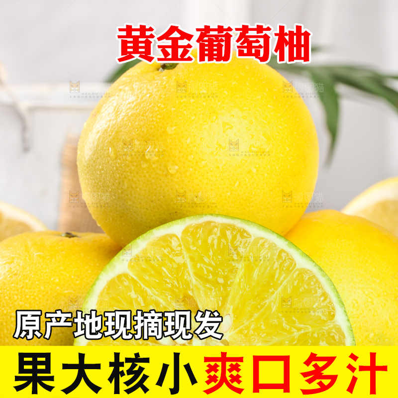 白底上一盘鸡尾葡萄柚