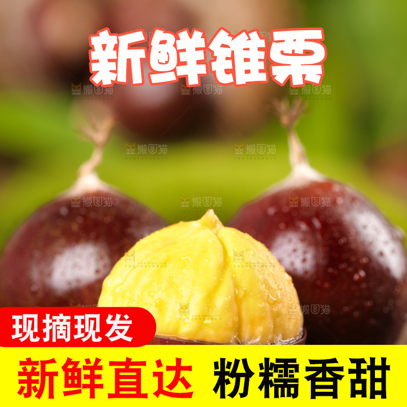 深底上的油锥栗
